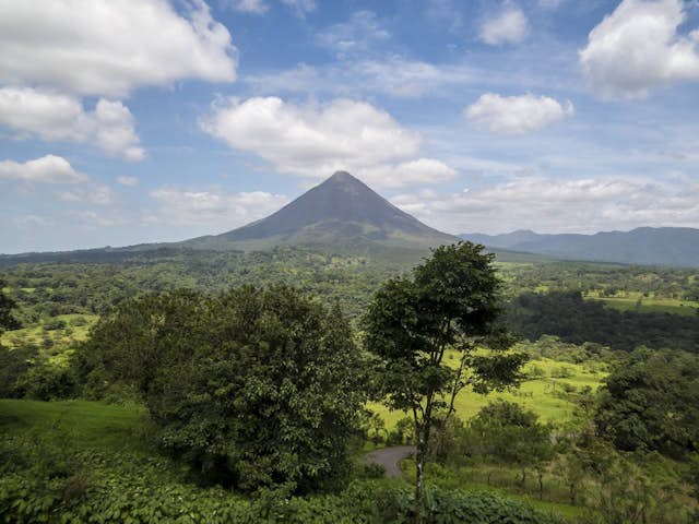 El Poder de las Fitoncidas en el Bosque Tropical de Costa Rica