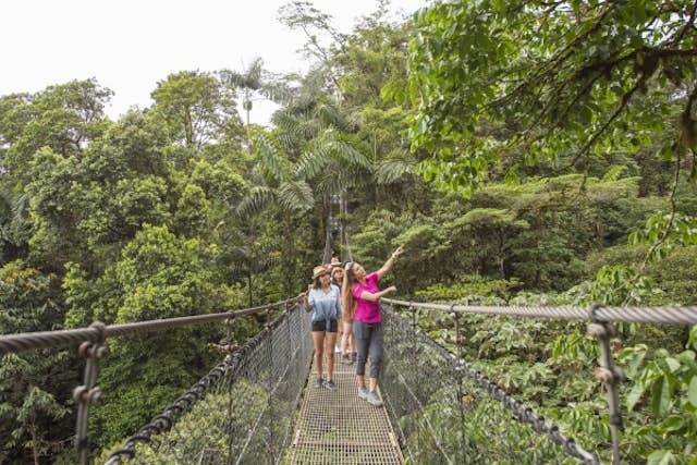 Forest Canopy: Heaven on Earth at Mistico Park