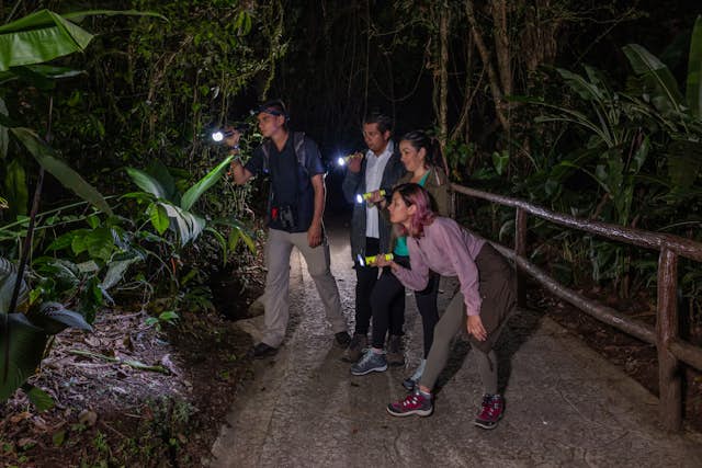 5 Reasons You Have to Do the Mistico Night Walk in Costa Rica