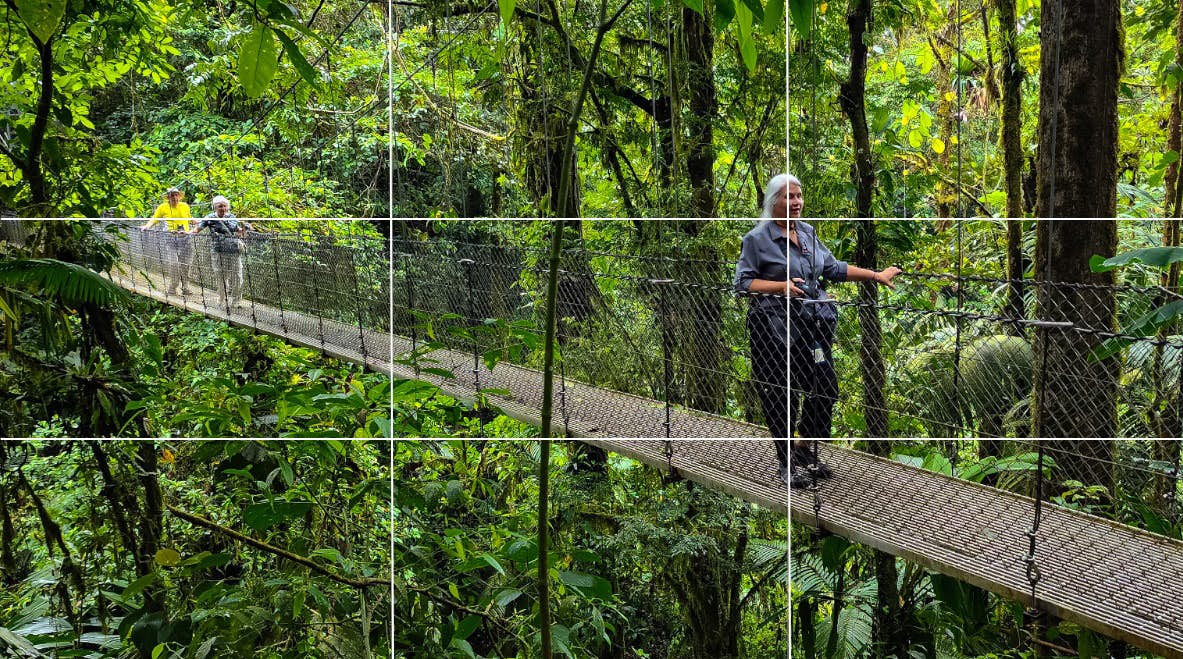Adult Women Walking on a Hanging Bridge at Mistico Park, Costa Rica