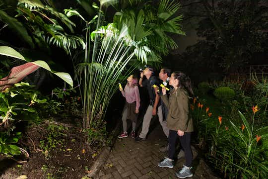 Visitors Enjoying a Night Walk at Mistico Park